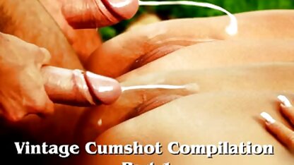 مالاتو نازک و گرم در جوراب های سیاه روی صورت عكس سكس الكسيس و گربه های پسربچه اش نشسته بود